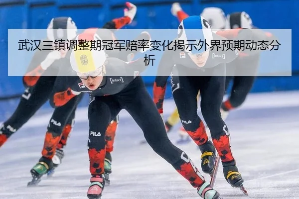 wu-han-san-zhen-tiao-zheng-qi-guan-jun-pei-lv-bian-hua-jie-shi-wai-jie-yu-qi-dong-tai-fen-xi-2-249.jpg