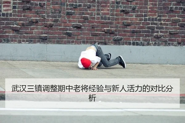 武汉三镇调整期中老将经验与新人活力的对比分析